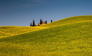 Tuscan property in spring, green fields, cypreses and olive trees, hiking in Tuscany, Val d'orcia Italy, UNESCO World Heritage