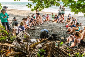 Lecture on the Beach. Biosphere citizen science project for sea turtles protection in Costa Rica
