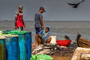Fishing and salted fish production hot spot of Sri Lanka