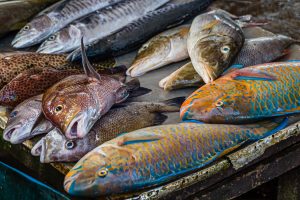 Fish market in Sri Lanka. Fishing and salted fish production hot spot of Sri Lanka