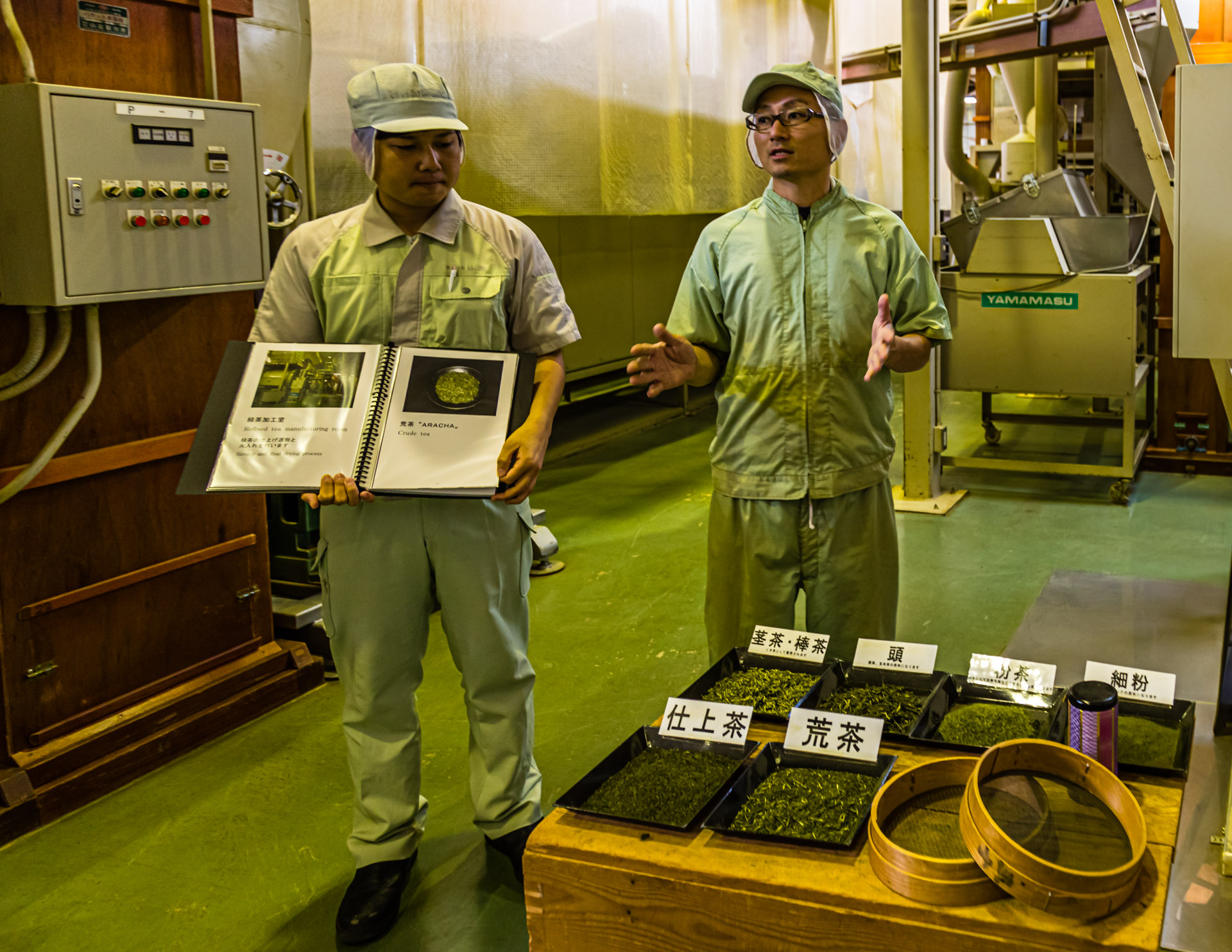 Green Tea Factory in Hamamatsu, Japan