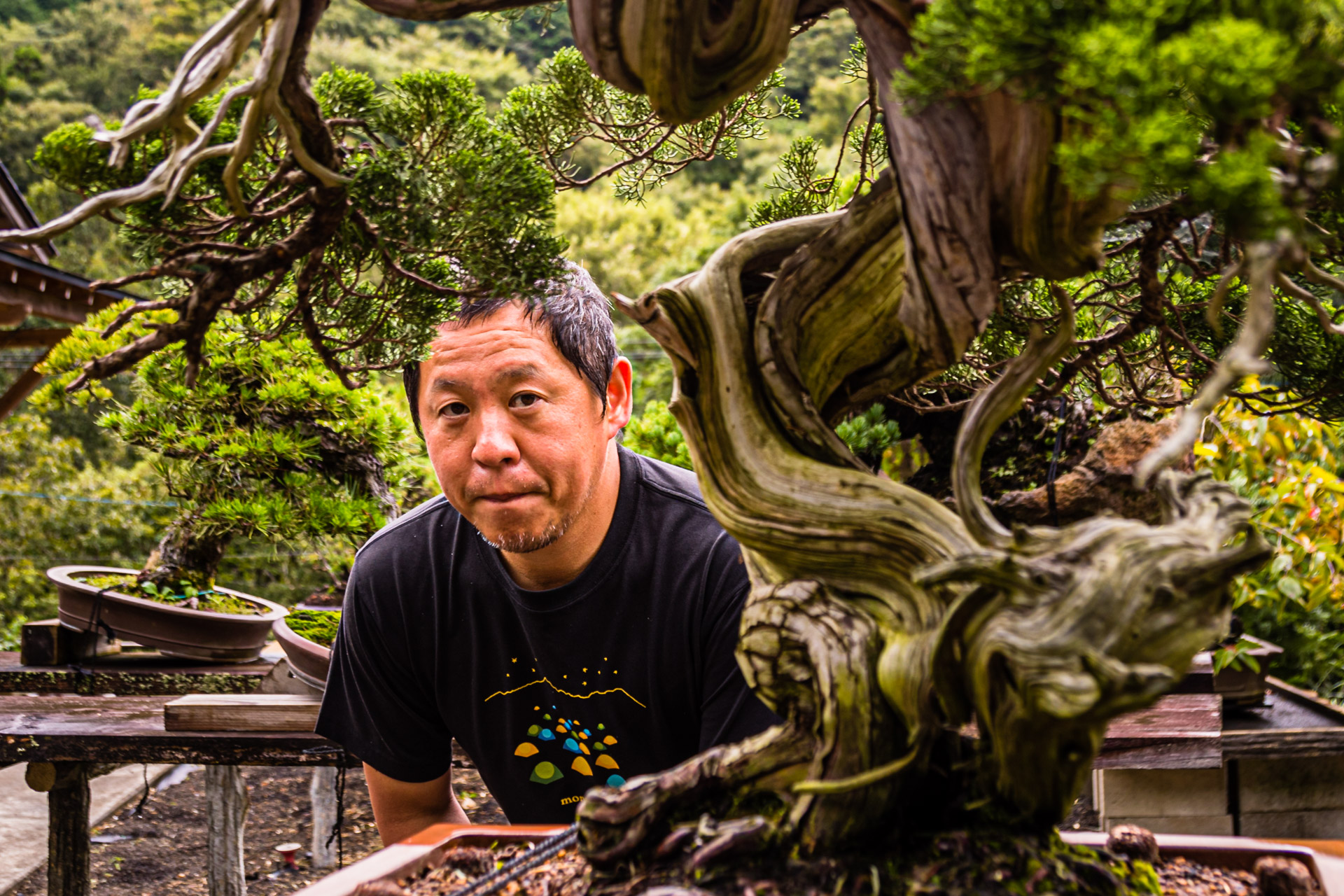 Bonsai Garden in Izu, Japan