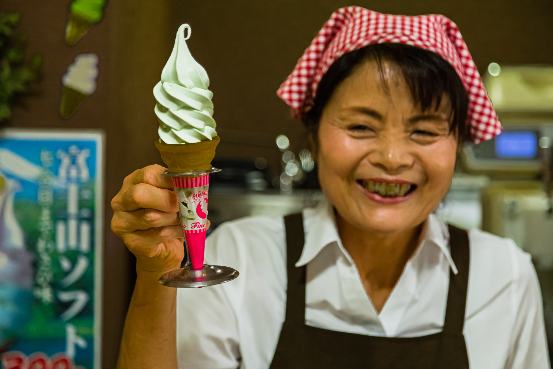 Ice Cream in Wasabi Museum, Kannami, Japan