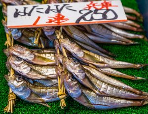 Fish for sale in the Tokyo market