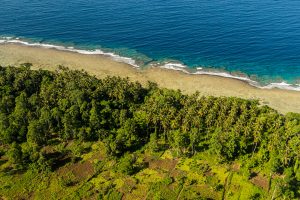 Aerial Shot of Agriculture with coconut palms on Bougainville, Papua New Guinea