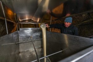 In-house brewer first fills liquid yeast into the tank, so that it mixes well with the beer Zoigl-Beer-Wort storage in rock-cut cellar in Falkenberg, Germany